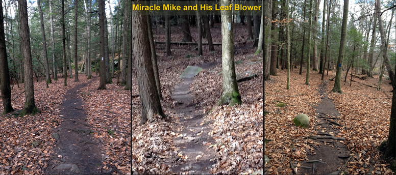 Leaf Blown Trail - Thanks Mike!!!